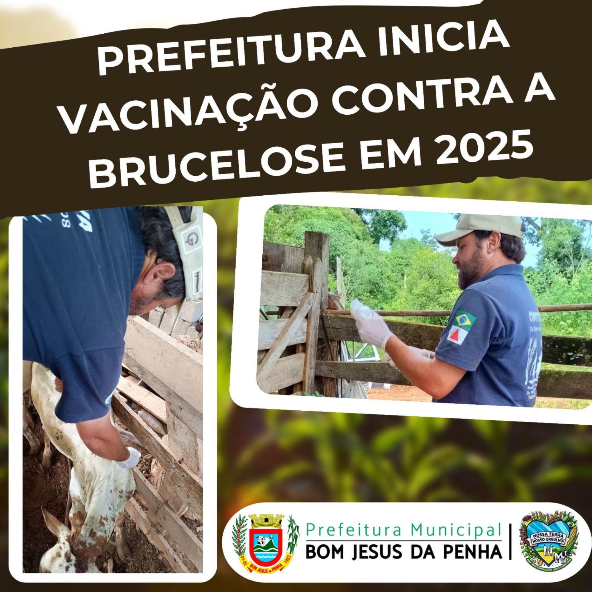 Vacinação contra a Brucelose: Um cuidado que faz toda a diferença